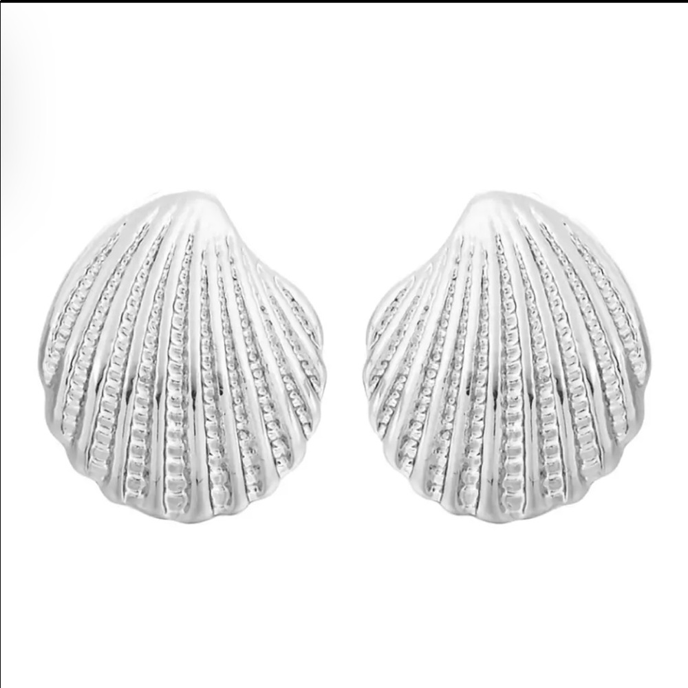 Silver Shell Earrings